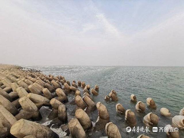 东营孤东海堤自驾游攻略?孤东海堤收费吗-图2 东营孤东海堤自驾游攻略?孤东海堤收费吗-图2