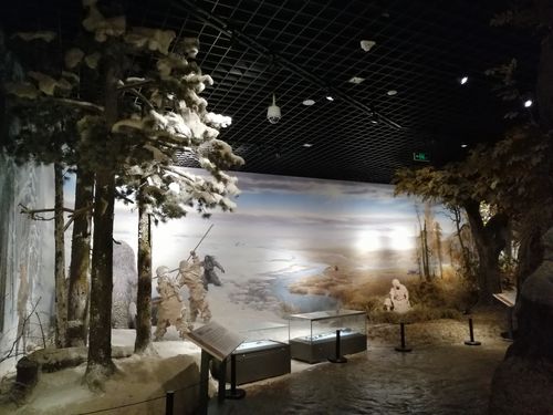 吉林地质博物馆开放时间?吉林省博物馆收费么-图3 吉林地质博物馆开放时间?吉林省博物馆收费么-图3