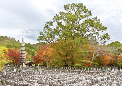 净土寺门票多少钱?京都景点收费吗-图2 净土寺门票多少钱?京都景点收费吗-图2