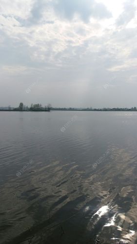 荆州钓鱼的地方？荆州钓鱼大北湖收费