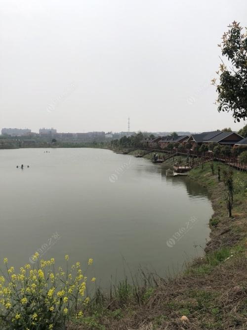 荆州钓鱼的地方?荆州钓鱼大北湖收费-图3 荆州钓鱼的地方?荆州钓鱼大北湖收费-图3