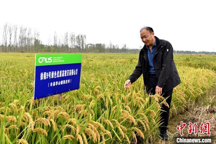 请问农业科技朮、咪子一亩地种几斤?咪子教育怎么收费吗-图3 请问农业科技朮、咪子一亩地种几斤?咪子教育怎么收费吗-图3