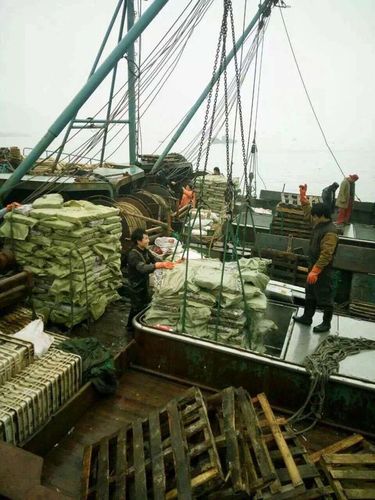 上海码头搬运工1000一天包吃?上海港口收费标准-图2 上海码头搬运工1000一天包吃?上海港口收费标准-图2