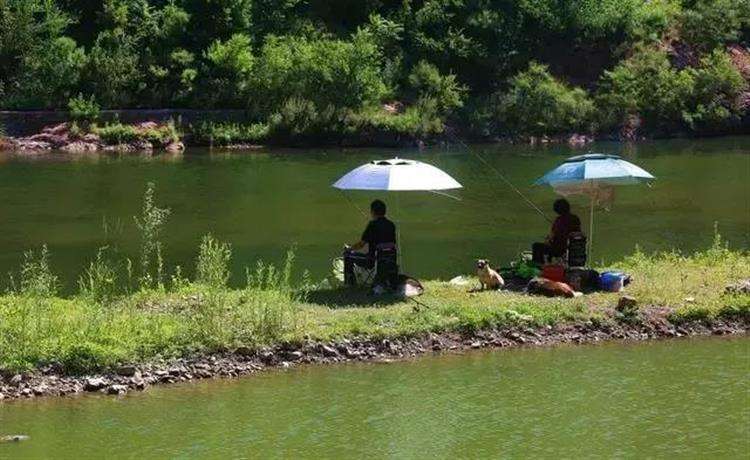 昌平哪里可以户外自助烧烤？王家园水库钓鱼收费么