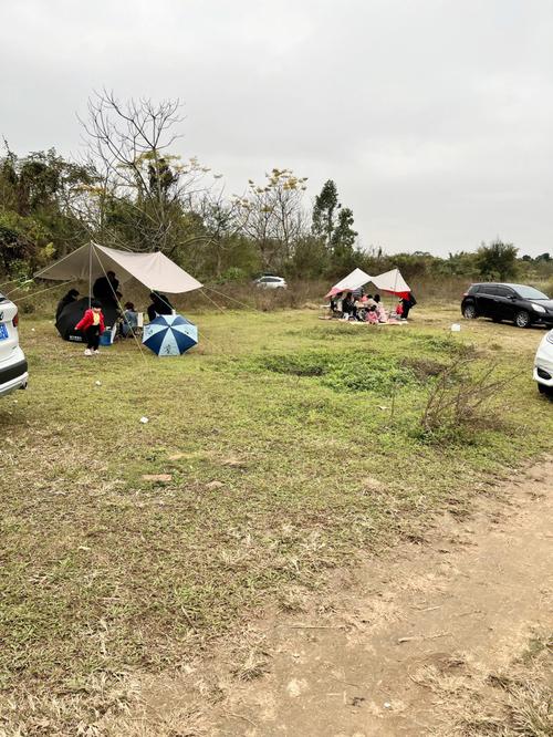 阳江山谷里露营基地要门票吗？阳江市停车收费