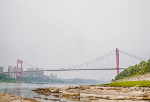 木洞长江大桥不修了吗?重庆有跨江桥收费-图2 木洞长江大桥不修了吗?重庆有跨江桥收费-图2