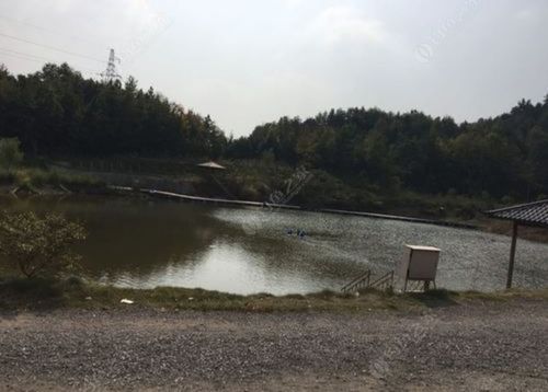 安庆休闲山庄带钓鱼的好玩一点的地方?安庆市钓鱼收费的地方-图2 安庆休闲山庄带钓鱼的好玩一点的地方?安庆市钓鱼收费的地方-图2