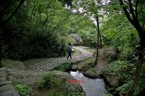 慈溪山水比较漂亮的地方？慈溪藏云溪收费吗