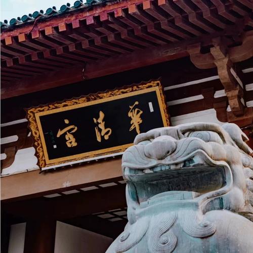 华清池65岁免票不?华清宫老年人收费吗-图3 华清池65岁免票不?华清宫老年人收费吗-图3