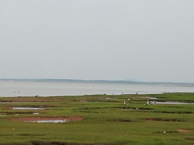从南昌至鄱阳湖国家湿地公园坐什么车?不要自驾,不要火车。有没有一日游的团队？南昌一日游收费标准