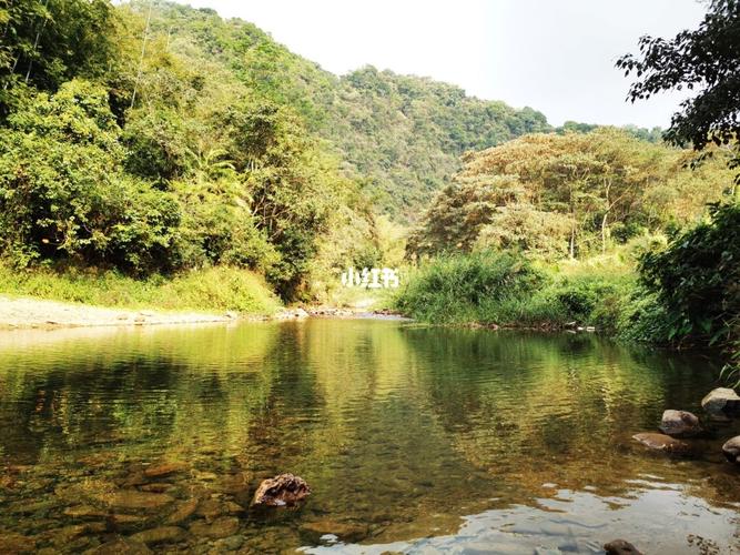 南昆山永汉油田农场现在收门票吗?南昆山收费-图2 南昆山永汉油田农场现在收门票吗?南昆山收费-图2