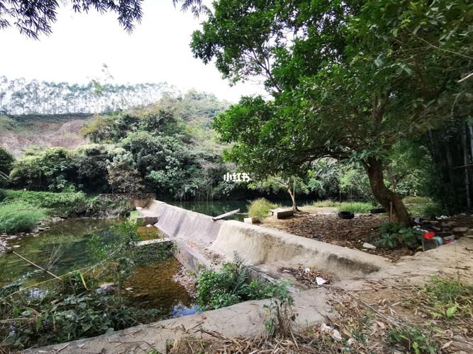 南昆山永汉油田农场现在收门票吗?南昆山收费-图1 南昆山永汉油田农场现在收门票吗?南昆山收费-图1