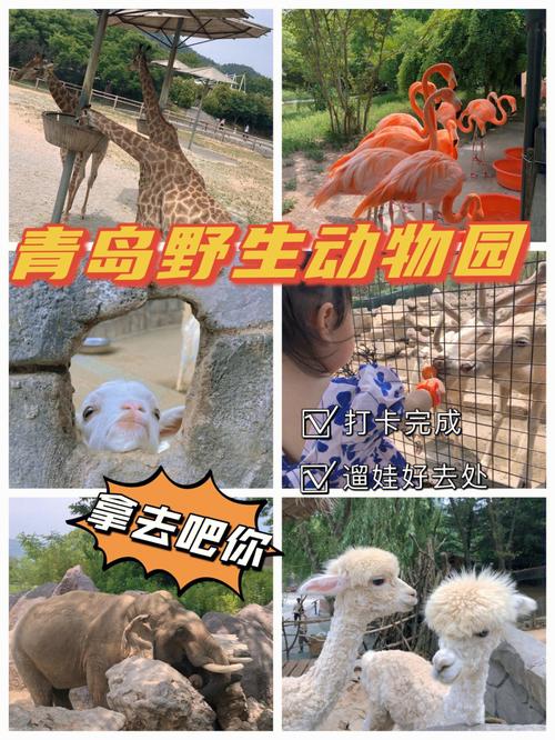 青岛森林野生动物园停车攻略?青岛动物园附近停车场收费-图3 青岛森林野生动物园停车攻略?青岛动物园附近停车场收费-图3