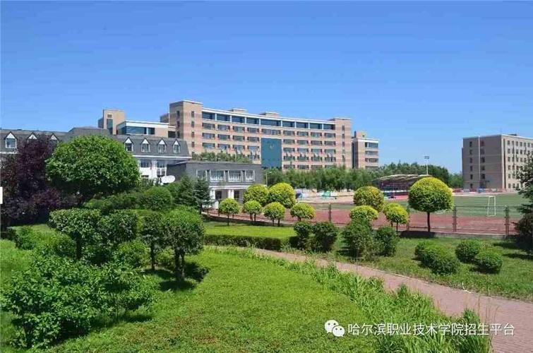 请问哈尔滨劳动技师学院有什么专业啊?好不好啊?哈尔滨劳动公园收费吗-图2 请问哈尔滨劳动技师学院有什么专业啊?好不好啊?哈尔滨劳动公园收费吗-图2