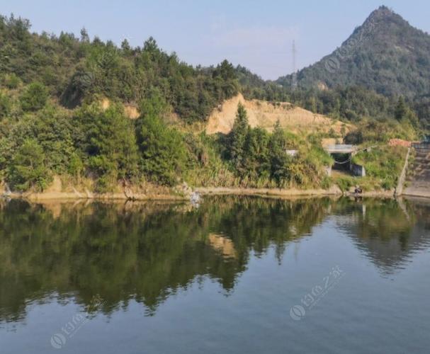 咸宁适合夏天玩的地方？咸宁钓鱼收费的位置-图3