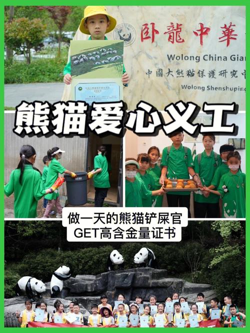 认领熊猫可以干嘛?熊猫爱心体验 收费-图2 认领熊猫可以干嘛?熊猫爱心体验 收费-图2