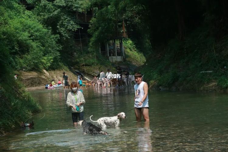 泸州周边可以玩水避暑的农家乐?叙永画稿溪露营收费吗-图3 泸州周边可以玩水避暑的农家乐?叙永画稿溪露营收费吗-图3