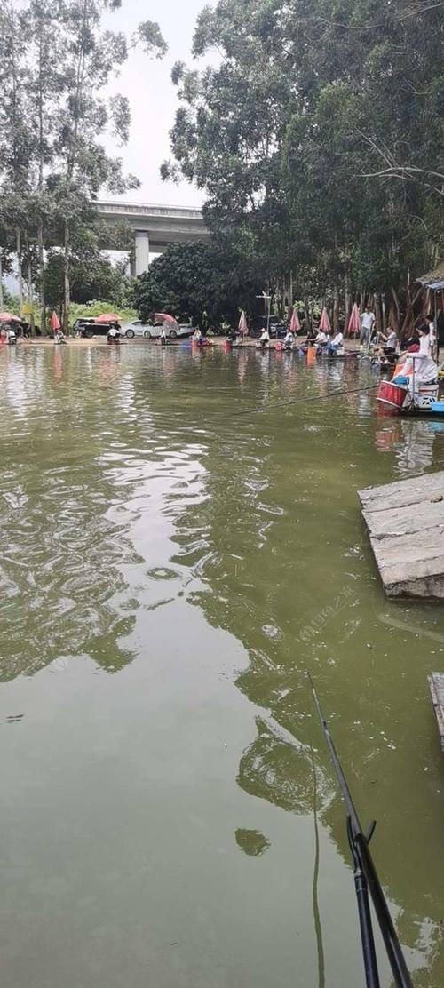 求东莞附近免费钓鱼的地方？东莞钓鱼场收费吗