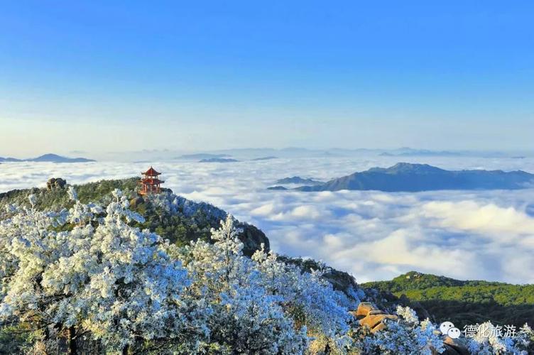 金峨山景点?关于德化停车收费标准-图2 金峨山景点?关于德化停车收费标准-图2