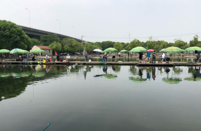上海什么地方有免费钓鱼？上海收费钓鱼的地方吗