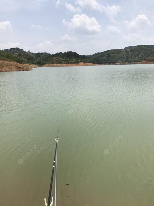 石马径水库能钓鱼吗？石马水库收费吧