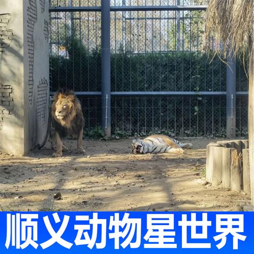 顺义动物园攻略?顺义公园游乐场收费吗-图3 顺义动物园攻略?顺义公园游乐场收费吗-图3