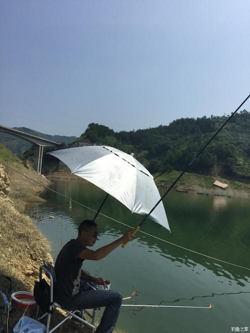 白龙湖禁渔期禁钓吗?白龙湖钓鱼收费吗-图3 白龙湖禁渔期禁钓吗?白龙湖钓鱼收费吗-图3