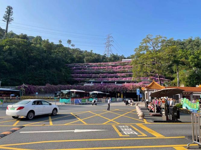 深圳滨海公园停车方便吗?宝安公园停车收费吗-图2 深圳滨海公园停车方便吗?宝安公园停车收费吗-图2