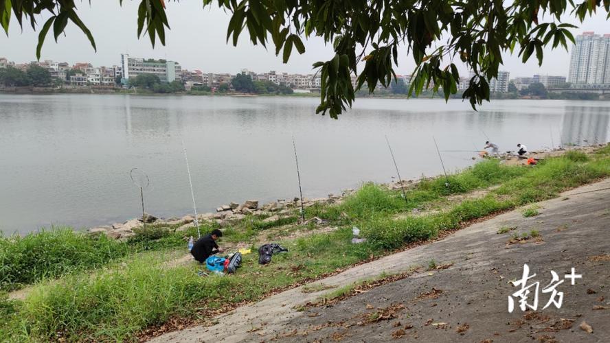 求东莞附近免费钓鱼的地方？东莞收费水库钓鱼场