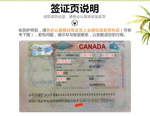 中介办理加拿大签证的费用一般是多少？办加拿大签证中介收费