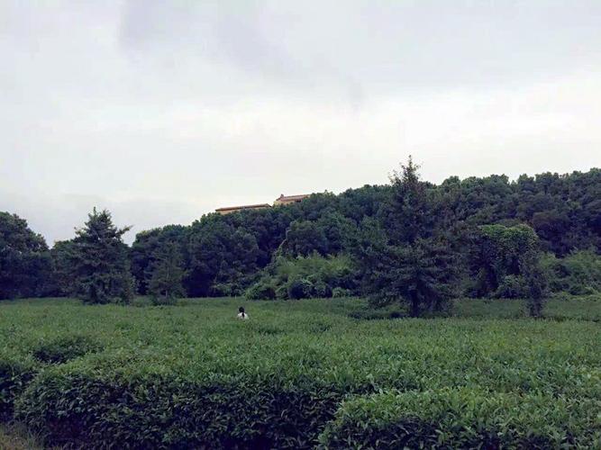 无锡锡山景点？斗山生态园收费吗
