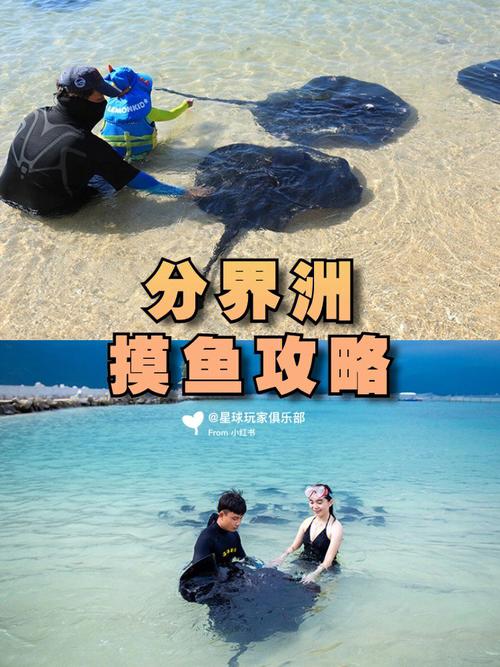 我想7月去三亚钓鱼！请问哪里能钓鱼？分界洲钓鱼门票哪里买？分界洲岛 钓鱼 收费