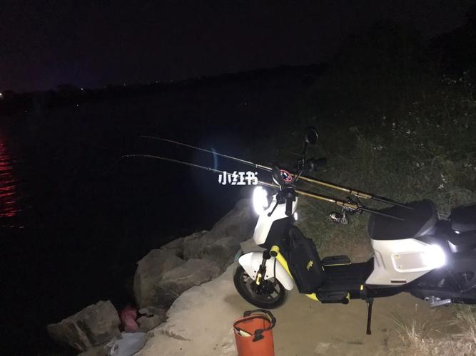 邯郸夜钓最好的地方?邯郸哪钓鱼不收费-图2 邯郸夜钓最好的地方?邯郸哪钓鱼不收费-图2