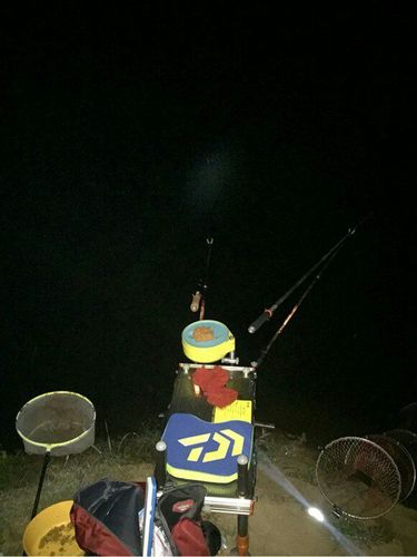 乐山夜钓哪里好钓？红光水库怎么收费标准