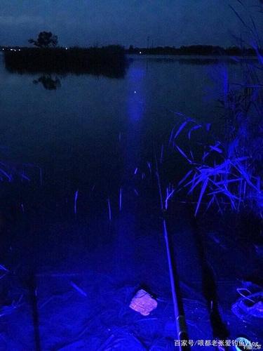 乐山夜钓哪里好钓？红光水库怎么收费标准-图2