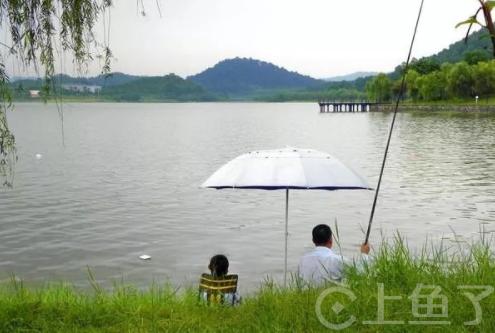 南昌九龙湖钓鱼最佳地点？花都九龙湖钓鱼收费