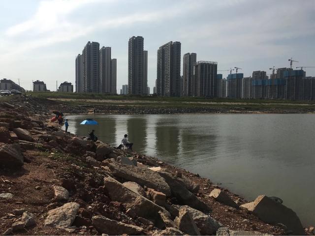 南昌九龙湖钓鱼最佳地点?花都九龙湖钓鱼收费-图3 南昌九龙湖钓鱼最佳地点?花都九龙湖钓鱼收费-图3