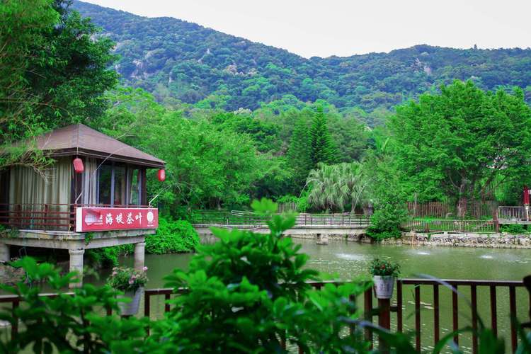 吉安适合跑山的地方?泉州清源山慢山庄收费-图3 吉安适合跑山的地方?泉州清源山慢山庄收费-图3