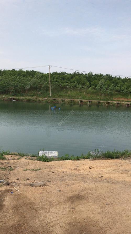 沈阳附近钓鱼水库？沈阳收费钓鱼