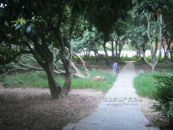 福建莆田荔枝公园开放没有?莆田荔枝公园收费吗-图2 福建莆田荔枝公园开放没有?莆田荔枝公园收费吗-图2