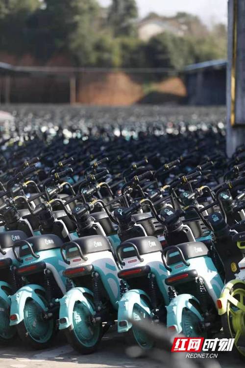 吉首电动自行车品牌质量排名？吉首自行车怎么收费