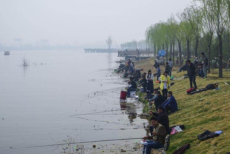 沂河钓鱼最佳地点2023?临沂垂钓园安斤收费的-图2 沂河钓鱼最佳地点2023?临沂垂钓园安斤收费的-图2