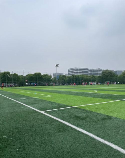 上海足球场地?闵行体育馆停车收费-图3 上海足球场地?闵行体育馆停车收费-图3