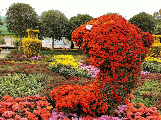 南阳月季园菊花展什么时候开始?南阳月季展2017收费-图3 南阳月季园菊花展什么时候开始?南阳月季展2017收费-图3