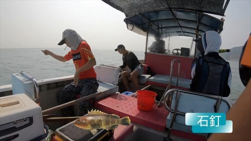 天津包船海钓的费用？天津 收费钓鱼