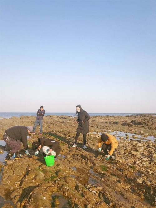 岚山多岛海与赶海园区别?日照赶海怎么收费-图3 岚山多岛海与赶海园区别?日照赶海怎么收费-图3