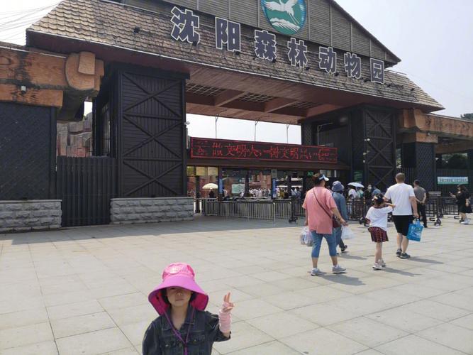 沈阳动物园能开车游览吗?沈阳动物园停车收费吗-图3 沈阳动物园能开车游览吗?沈阳动物园停车收费吗-图3