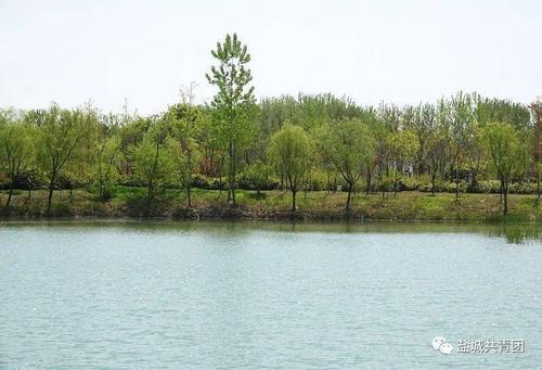 江苏响水那里最好玩?响水湖钓鱼收费-图2 江苏响水那里最好玩?响水湖钓鱼收费-图2