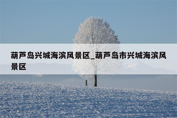 兴城海滨收费标准?兴城第一浴场收费-图3 兴城海滨收费标准?兴城第一浴场收费-图3