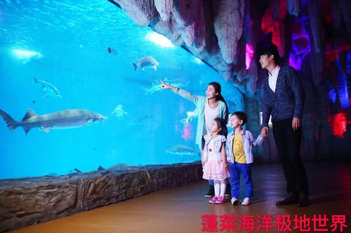 蓬莱海底世界春节期间营业时间?蓬莱极地海洋停车收费-图3 蓬莱海底世界春节期间营业时间?蓬莱极地海洋停车收费-图3